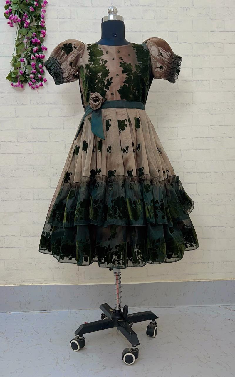 Ziva Ethnic Frock – Organza Elegance with Velvet Charm