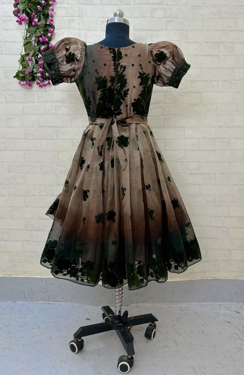 Ziva Ethnic Frock – Organza Elegance with Velvet Charm